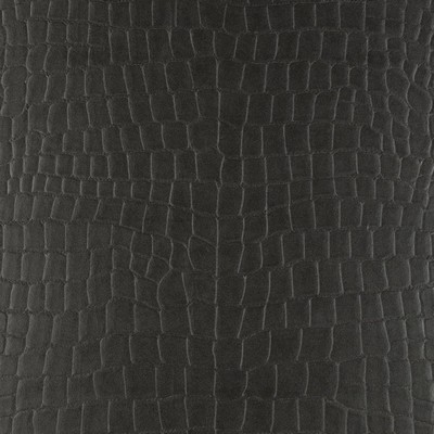 Ralph Lauren Home -  -  